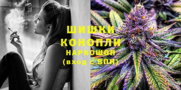 индика Вязники