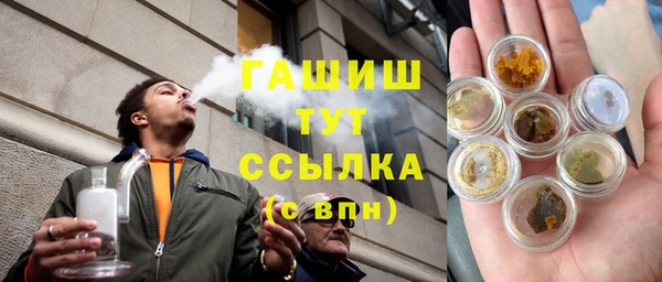 индика Вязники